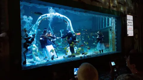 PA Wire Underwater wedding