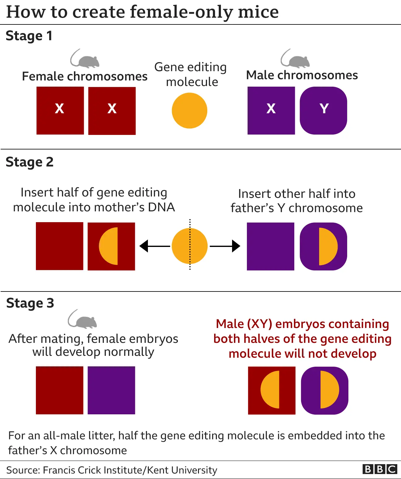 Gene edited sex selection may spare animal suffering