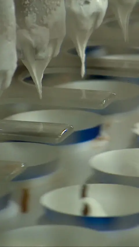 Ice cream being poured into tubs in a factory.