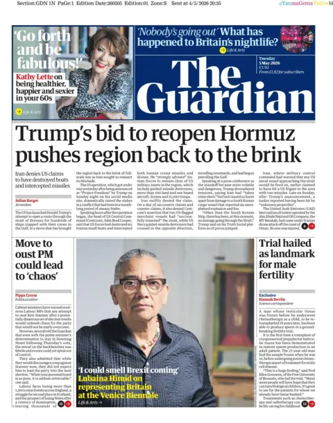 the guardian