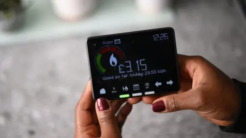 A woman's hands are seen holding a smart meter that shows electricity usage for the day.