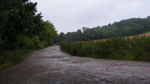 Road to Wellbury House