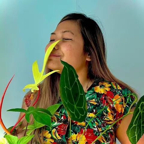 Bournemouth plant swap aims to beat cost-of-living crisis