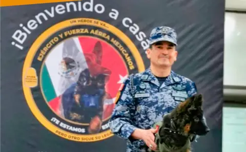 Sedena Photo posted by Mexico's ministry of defence showing the arrival of the puppy