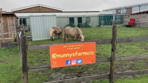 Lara King / BBC Nunnys Farm in Grimsby