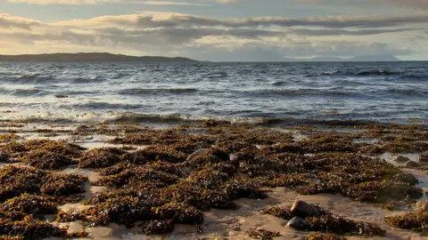 BBC Loch Gairloch