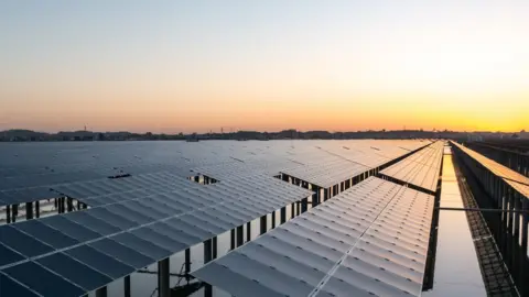 Getty Images Solar farm