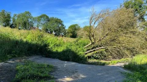 raised tarmac and a fallen tree on the B4069
