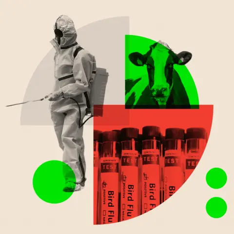 Getty Images Composite image of someone in protective clothing and test vials for bird flu