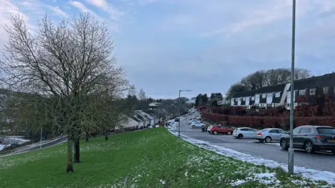 A snowy street scene with a line of trees down one side and parked cars and houses on either side of the road