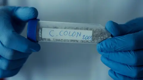 RTVE DNA samples were taken in 2003 from the bones of Columbus - known in Spanish as Cristóbal Colón - and his son Hernando