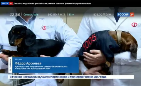 Channel 5, St Petersburg Scientists in white coats put a Dachshund headfirst into a container filled with an oxygen-saturated liquid