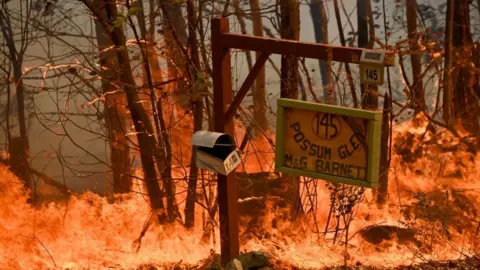 Getty Images A bushfire burns outside a property near Taree, 350km north of Sydney on November 12