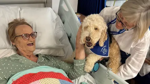Queen Elizabeth Hospital Ted the cockerpoo dog in hospital with his owner and patient