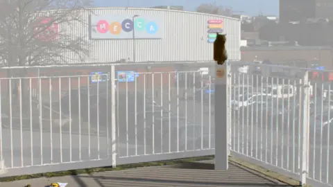 Ben Twiston-Davies A computer generated close up of the proposed Nala sculpture, situated on a platform in front of a fence and bingo hall. The cat is brown in colour but the finished installation will look different, said the artist. 