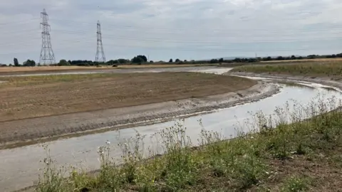 A river is curving its way through fields with pylons in the distance. Weeds are growing along the near bank. There are trees in the distance behind the pylons.