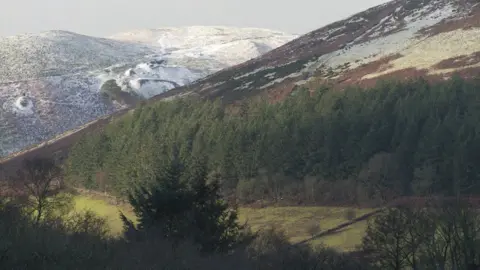 Welsh Government  Woodland in Wales beside a mountain