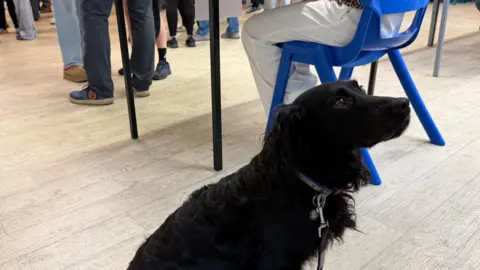 Molly is a mid-size black spaniel who is sitting and looking up at the top right hand side of the photo. She is wearing a collar and a black lead and has expressive brown eyes. There is a person sitting in a blue plastic chair behind her and you can see the legs of students in the hall.