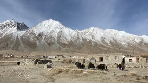 Anbarasan/BBC A village with animals and the mountains behind