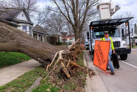 Fierce winds blew down a tree in Bloomington, Indiana