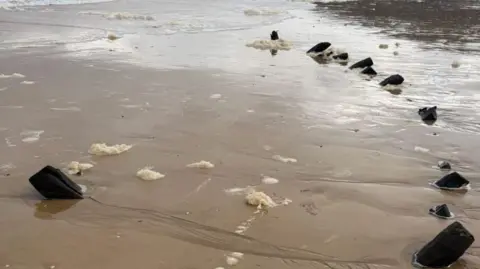 A series of wooden structures in a curved line are protruding out of the sand. Water covers some of the beach. 