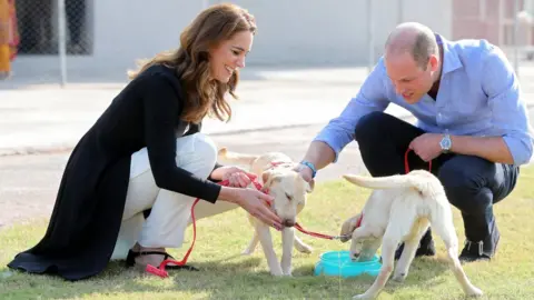 Reuters Catherine, Duchess of Cambridge and Prince William, Duke of Cambridge, play with golden labrador puppies Salto and Sky as they visit an Army Canine Centre, in Islamabad on 19 October 2019