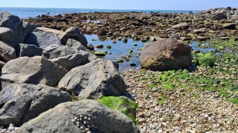 Catty Cate Large boulders and small rocks on a beach.