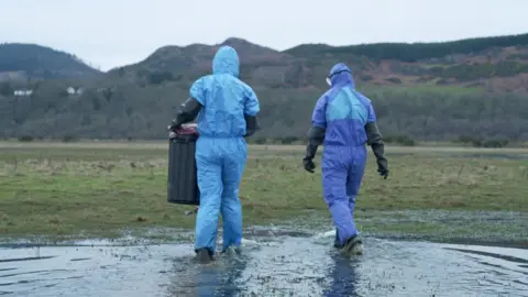 RSPB Scotland Bird flu