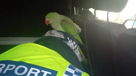@DublinAirport A green parrot on an airport police officers head