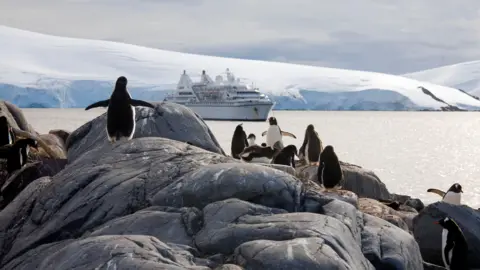 Getty Images Gentoo penguins standing on the rocks of Goudier Island as a cruise ship approaches in the distance