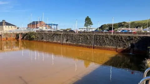 Brown water at Whitehaven Harbour. A number of cars are parked in the background and there are trees and a hill in the distance.