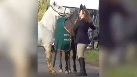 Hertfordshire Hunt Saboteurs