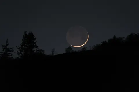 Neil Macmillan A dark night sky with the slither of a moon and the shadows of trees.