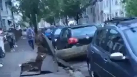 Mollie Macpherson Tree down at Cathays Terrace in Cardiff