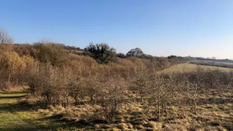 Mark Franklin/Woodland Trust Tidgrove Warren QGC Platinum Wood