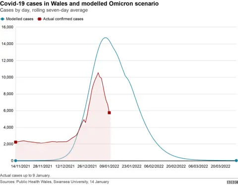 Omicron model chart