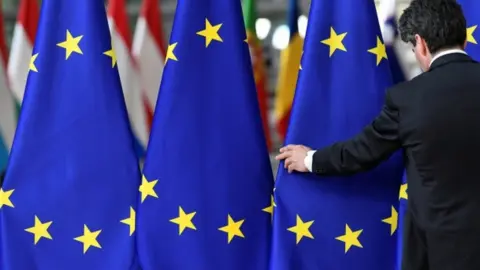 Reuters File image of EU flags