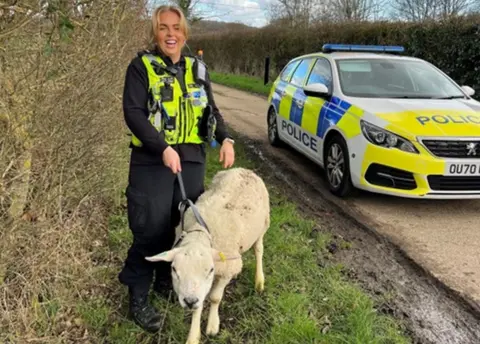 Cambridgeshire Constabulary Police officer smiling with the rescued sheep