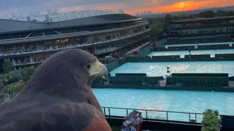 Donna Davis Rufus looking over the tennis courts