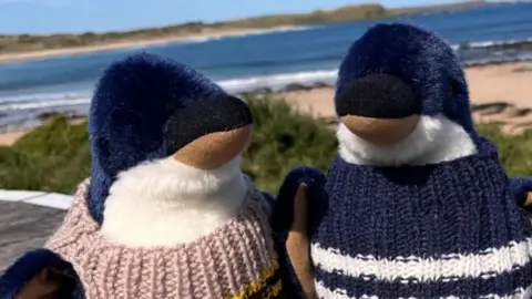 Hillcare Two soft toy penguins with knitted jumpers on. The one on the left has a pink jumper with yellow and black stripes. The penguin on the right has a navy jumper with white stripes. They are at a beach with the sea and another headland behind them.