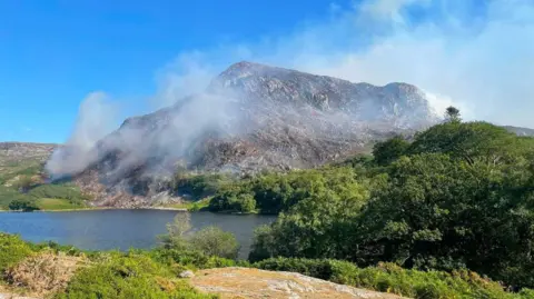 A scenic picture of a mountain with smoke rising from it. It is surrounding by grass and trees. 