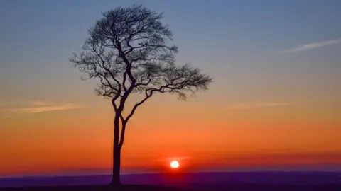 WeatherWatchers/Sonia A large tree stands alone during a colourful sunset in Devizes. The sun is low and the sky above is purple at the horizon, fading into orange and then light blue.