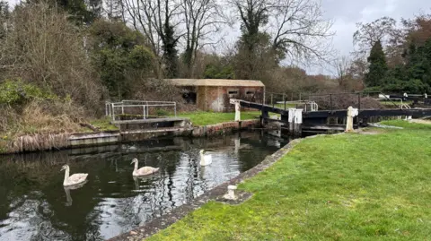 BBC A picture of the canal with swans swimming on it at the lock, with a brick pill box situated to the left of the lock.