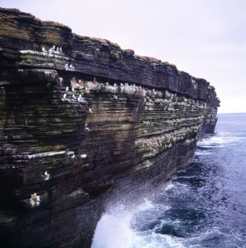 Getty Images Drone image of an ominous-looking cliff face - looking down at a dark, wild-looking sea.