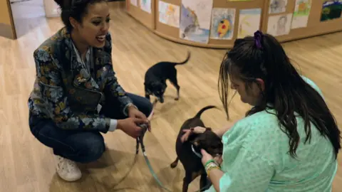 two women crouched down with the female patient wearing green hospital gown, petting a small brown dog, another dog is on a lead in the background and the second woman, wearing a floral biker jacket is holding leads for both animals. They are in a hospital reception area, with wooden floorings.