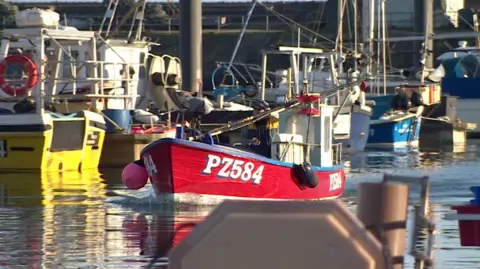 The image shows a busy fishing harbour with several small working boats moored close together on calm water. In the centre, a red fishing boat with the number PZ584 painted on its bow moves through the harbour, surrounded by other vessels under soft early morning or late afternoon light.