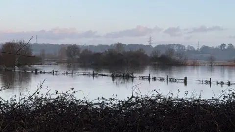 A view of Milestone Farm near Canford Bottom underwater.