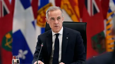 Prime Minister Mark Carney sits in front of a microphone. He's wearing a dark suit and tie and white shirt. Out of focus behind him is a colourful backdrop of Canadian provincial flags. 