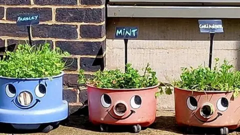 Dominic Luff Henry vacuum cleaners planted with herbs