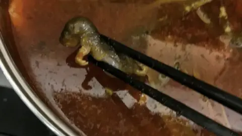 Weibo Rat found in hotpot